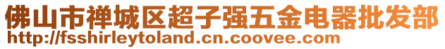 佛山市禪城區(qū)超子強(qiáng)五金電器批發(fā)部