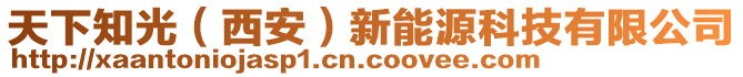 天下知光（西安）新能源科技有限公司