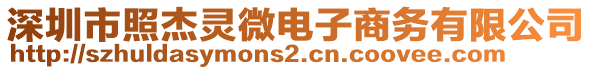 深圳市照杰靈微電子商務有限公司