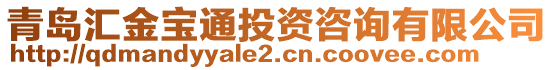 青島匯金寶通投資咨詢有限公司