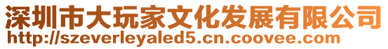 深圳市大玩家文化發(fā)展有限公司