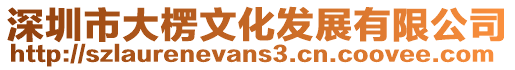 深圳市大楞文化發展有限公司
