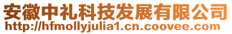 安徽中禮科技發展有限公司