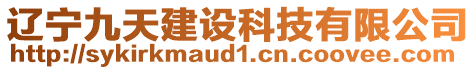 遼寧九天建設(shè)科技有限公司