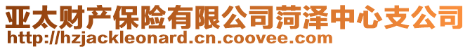 亞太財(cái)產(chǎn)保險(xiǎn)有限公司菏澤中心支公司