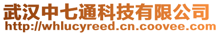 武漢中七通科技有限公司