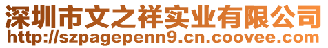 深圳市文之祥實業(yè)有限公司