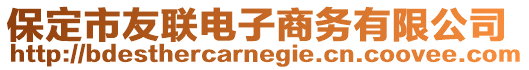 保定市友聯電子商務有限公司