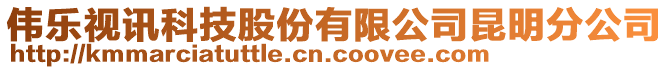 偉樂視訊科技股份有限公司昆明分公司