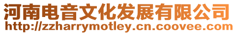 河南電音文化發展有限公司