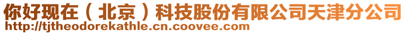 你好現在(北京)科技股份有限公司天津分公司