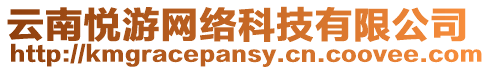 云南悅游網絡科技有限公司
