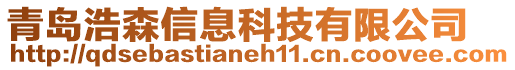 青島浩森信息科技有限公司