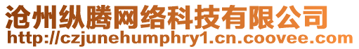 滄州縱騰網絡科技有限公司