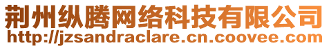 荊州縱騰網(wǎng)絡(luò)科技有限公司