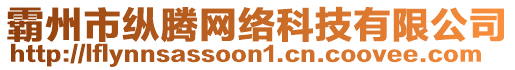 霸州市縱騰網絡科技有限公司