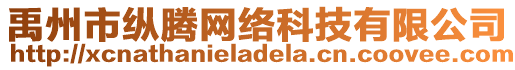 禹州市縱騰網(wǎng)絡(luò)科技有限公司