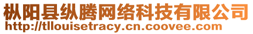 樅陽(yáng)縣縱騰網(wǎng)絡(luò)科技有限公司