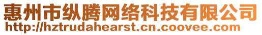 惠州市縱騰網絡科技有限公司