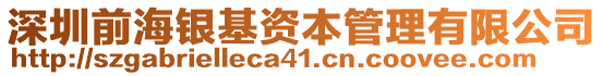 深圳前海銀基資本管理有限公司