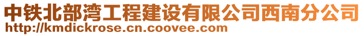 中鐵北部灣工程建設有限公司西南分公司