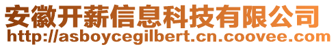 安徽開薪信息科技有限公司