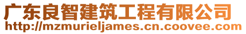廣東良智建筑工程有限公司