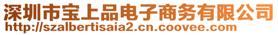 深圳市寶上品電子商務(wù)有限公司