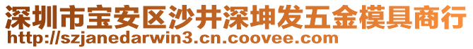 深圳市寶安區(qū)沙井深坤發(fā)五金模具商行