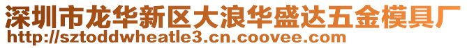 深圳市龍華新區(qū)大浪華盛達(dá)五金模具廠