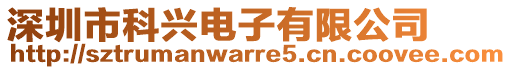 深圳市科興電子有限公司