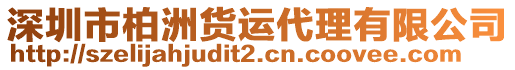 深圳市柏洲貨運代理有限公司