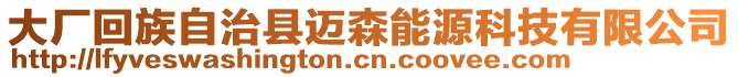 大廠回族自治縣邁森能源科技有限公司