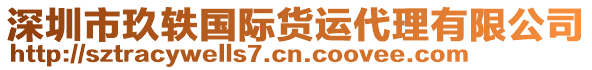 深圳市玖軼國際貨運(yùn)代理有限公司