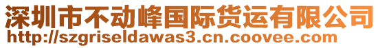 深圳市不動(dòng)峰國(guó)際貨運(yùn)有限公司