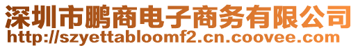 深圳市鵬商電子商務有限公司