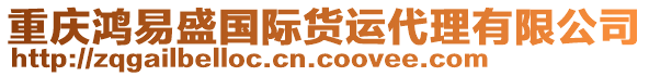 重慶鴻易盛國(guó)際貨運(yùn)代理有限公司