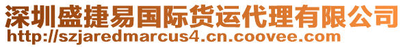 深圳盛捷易國際貨運(yùn)代理有限公司