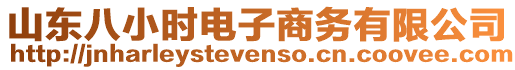 山東八小時電子商務有限公司