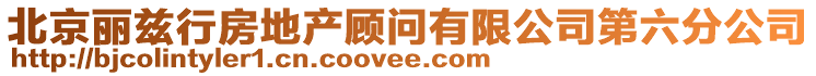 北京麗茲行房地產顧問有限公司第六分公司