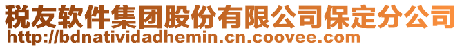 稅友軟件集團股份有限公司保定分公司