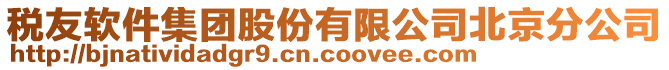 稅友軟件集團股份有限公司北京分公司