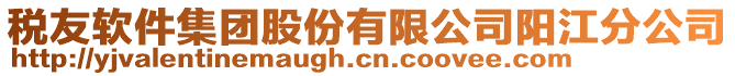 稅友軟件集團(tuán)股份有限公司陽江分公司