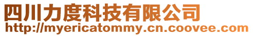 四川力度科技有限公司