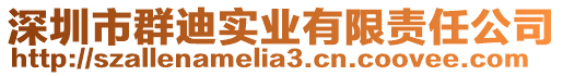 深圳市群迪實(shí)業(yè)有限責(zé)任公司