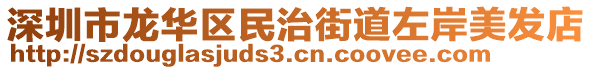 深圳市龍華區(qū)民治街道左岸美發(fā)店