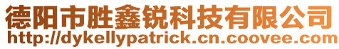 德陽市勝鑫銳科技有限公司