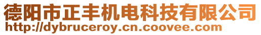 德陽市正豐機電科技有限公司