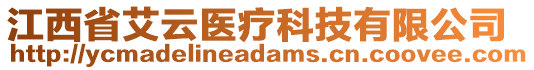 江西省艾云醫(yī)療科技有限公司