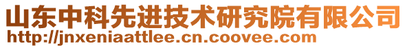 山東中科先進(jìn)技術(shù)研究院有限公司